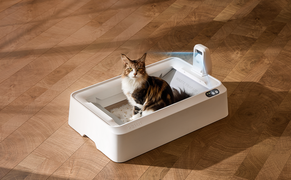 Meet PETKIT's Purobot Crystal Duo, the World’s First Open-Top Litter Box That Spots Cat Health Risks Before You Do