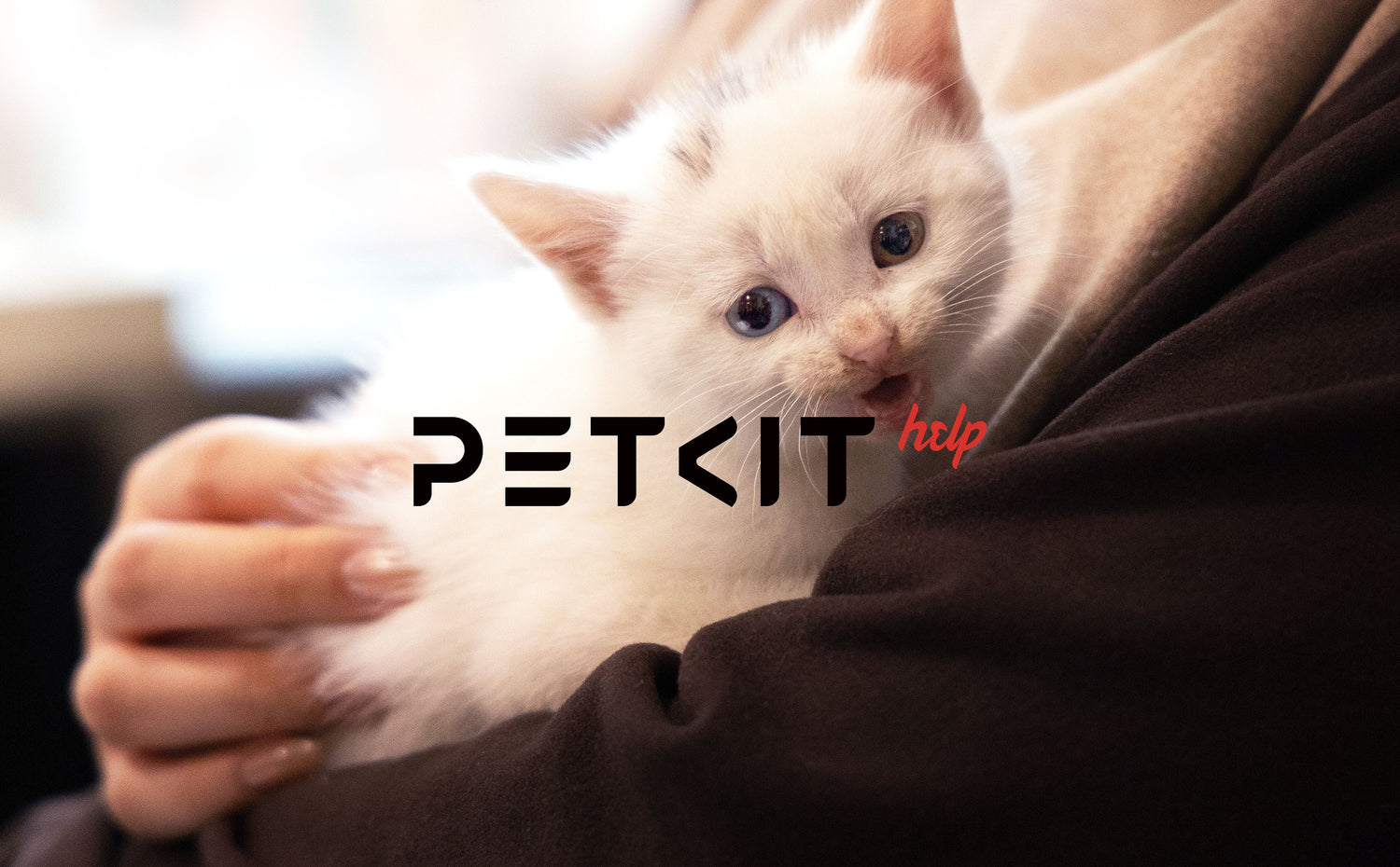 PETKIT HELP: Innovate for Impact - PETKIT