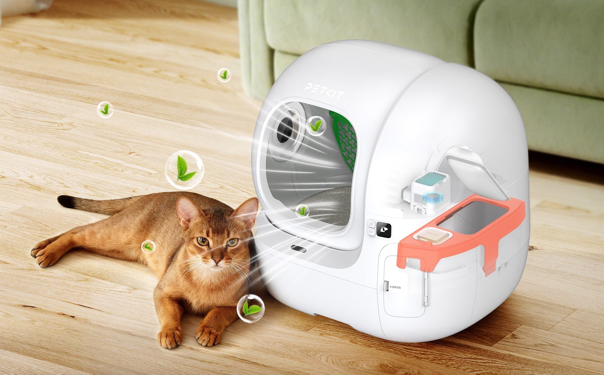 Which Automatic Litter Box is Best for Odor Control? 4 Key Factors That Actually Matter