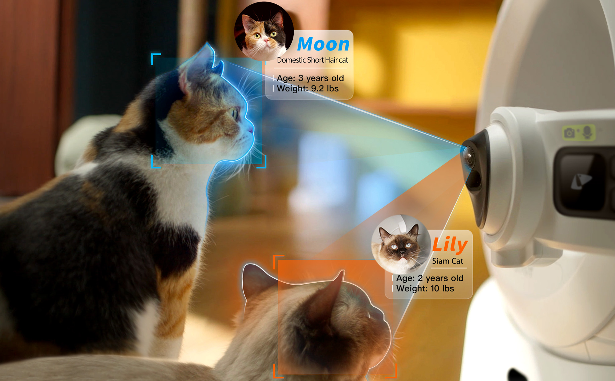 AI-powered PETKIT automatic litter box performing multi-cat identification, tracking individual cats’ daily health habits, offering a ideal solution for managing multiple pets’ care efficiently.