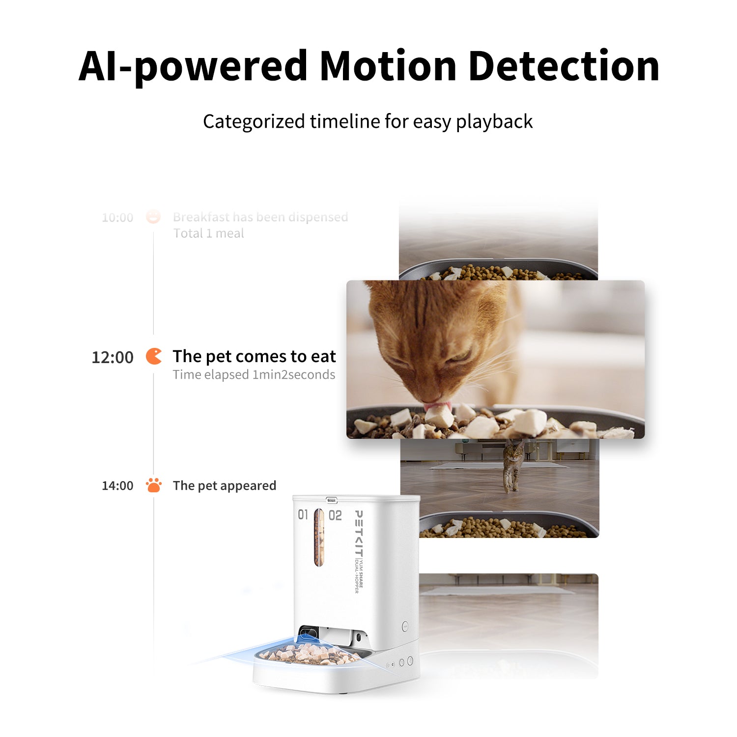 YumShare Dual-hopper Automatic Feeder with cat tracking camera