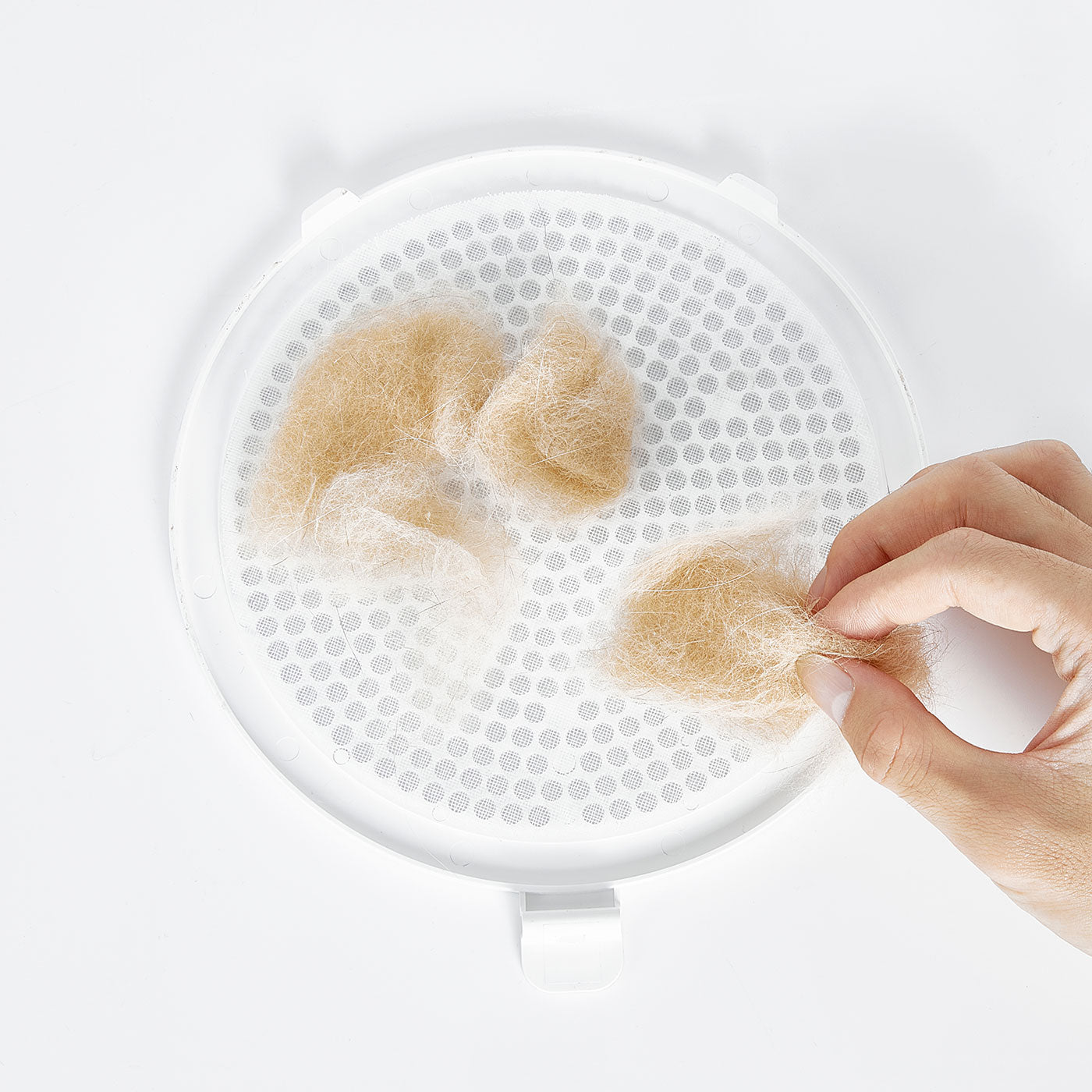 Cleaning the hair filter mesh of AirSalon Max Pro Pet Dryer Box to maintain hygienic drying environment for pets