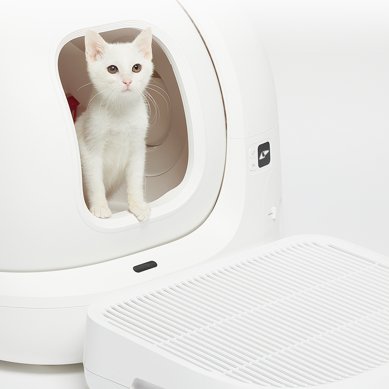 Cat Litter Ramp placed in front of the litter box, showing a cat stepping on it during daily use, helping reduce litter tracking