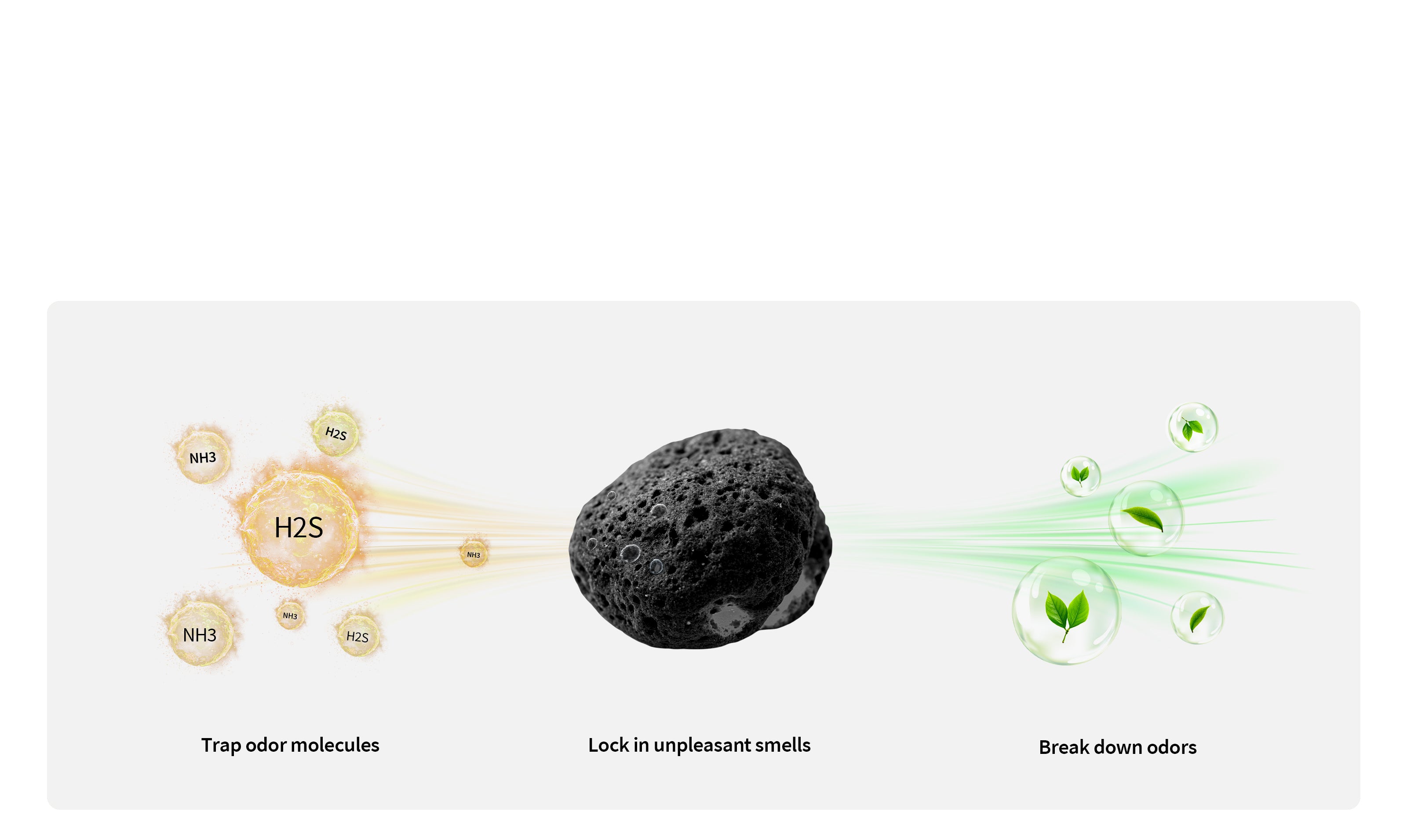 Clump+ Tofu Mixed Cat Litter demonstrating zeolite crystalline structure trapping ammonia and hydrogen sulfide to reduce unpleasant odors