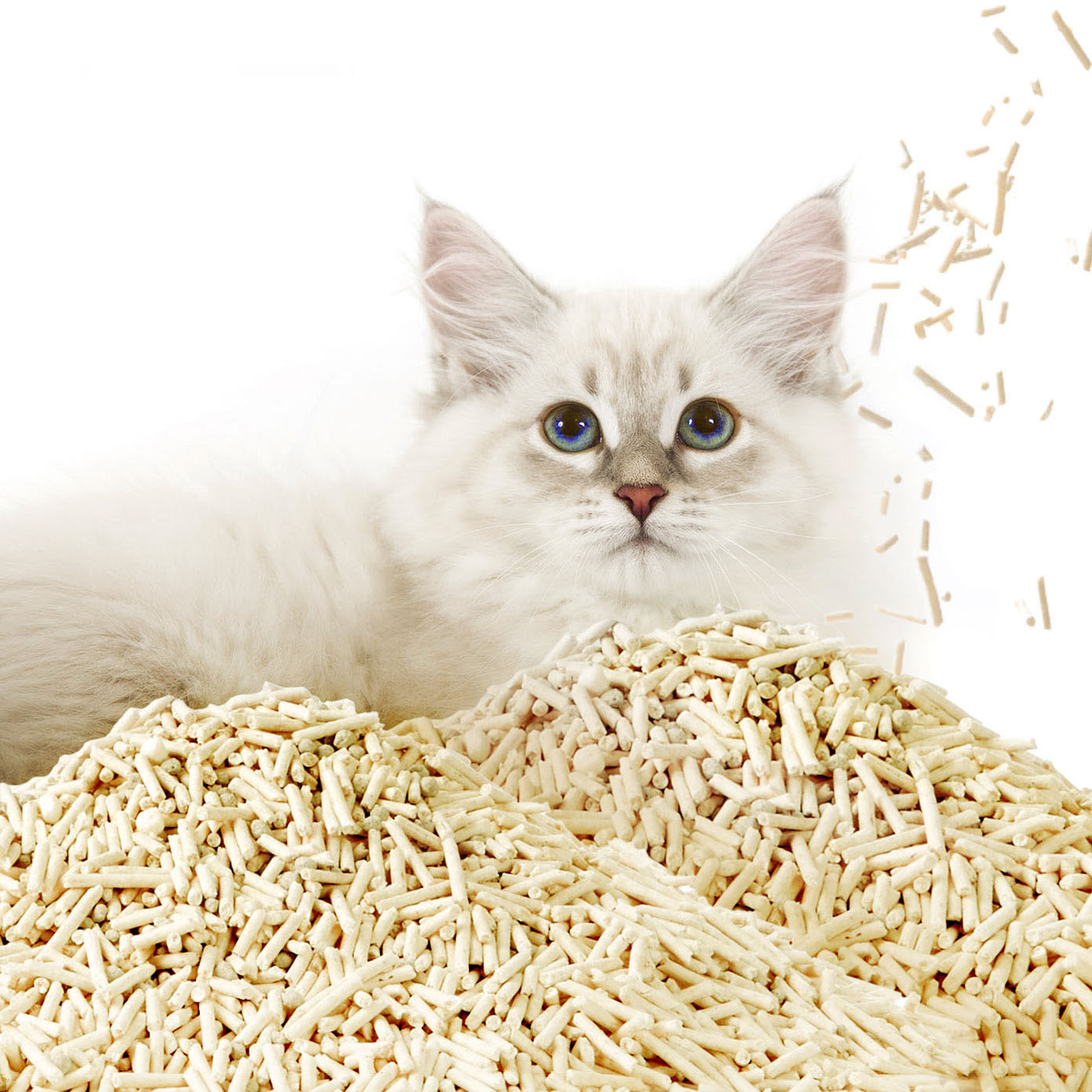 Occult Blood Test Mixed Cat Litter 99.9% dust-free, protecting cats’ and owners’ respiratory health