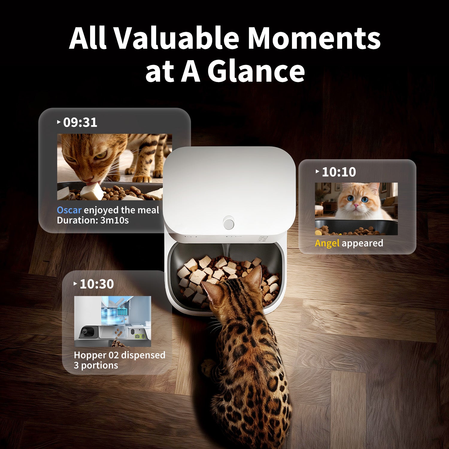 PETKIT automatic cat feeder provides feeding highlights and daily activity moments overview.