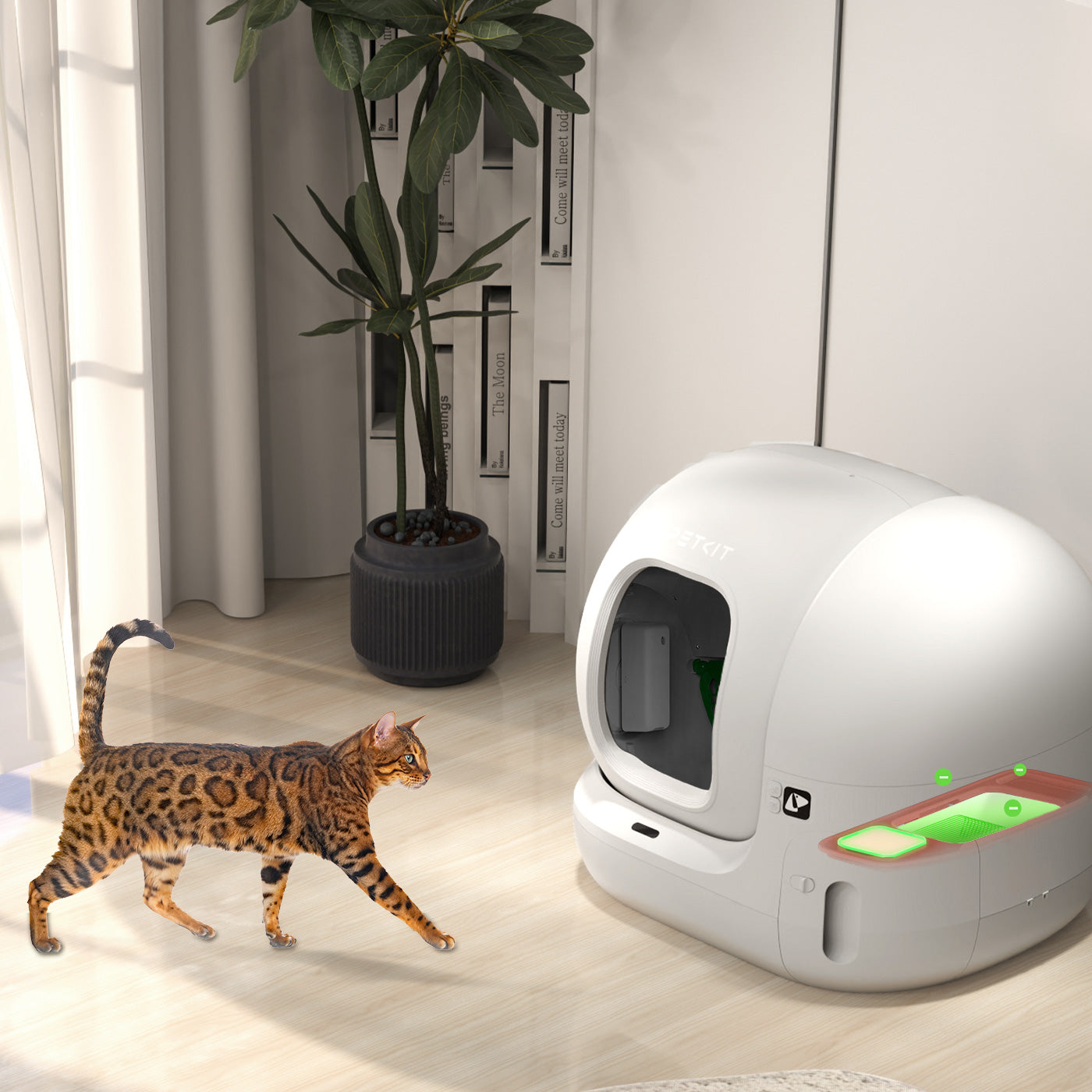 Pet Odor Eliminator N50 2.0 made with a non-toxic, natural formula that is safe for pets and daily home use