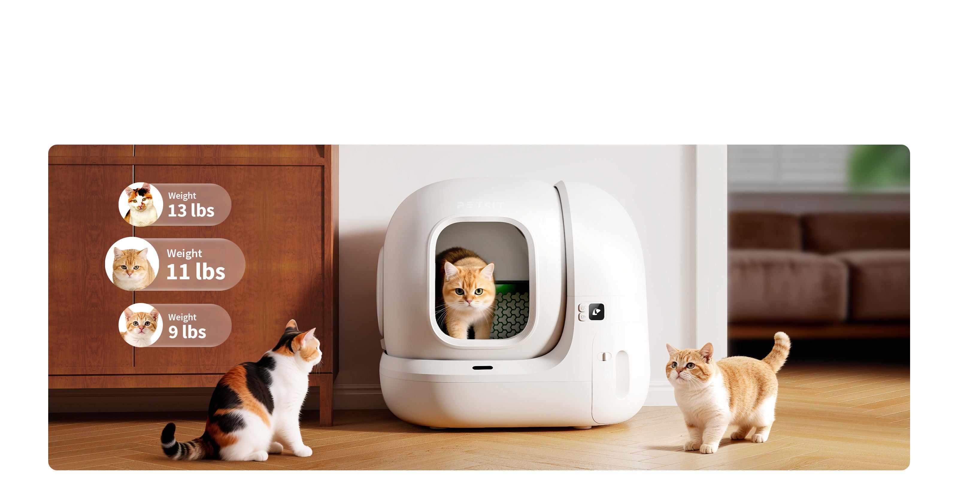 PuraMax 2 Automatic Cat Litter Box with low-threshold entrance and spacious interior accommodating cats of all sizes