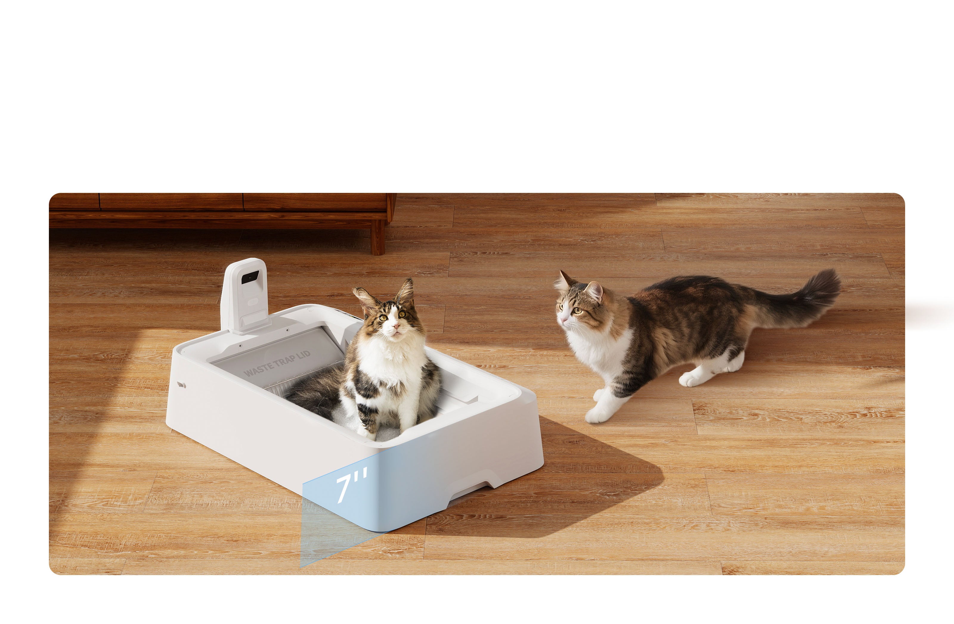 This open-top automatic litter box offers spacious comfort for large cats like Maine Coons.