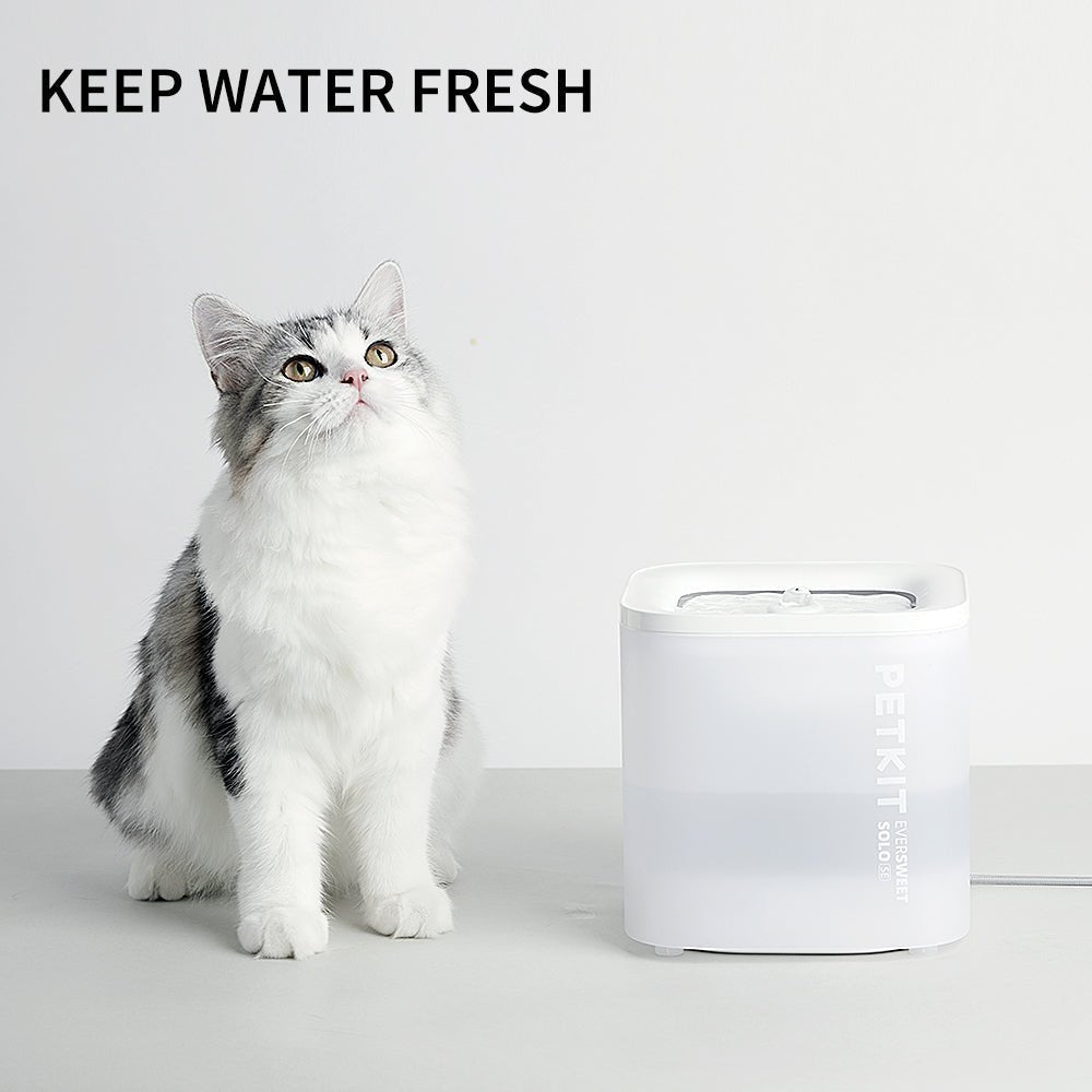 EverSweet Solo SE with fresh water