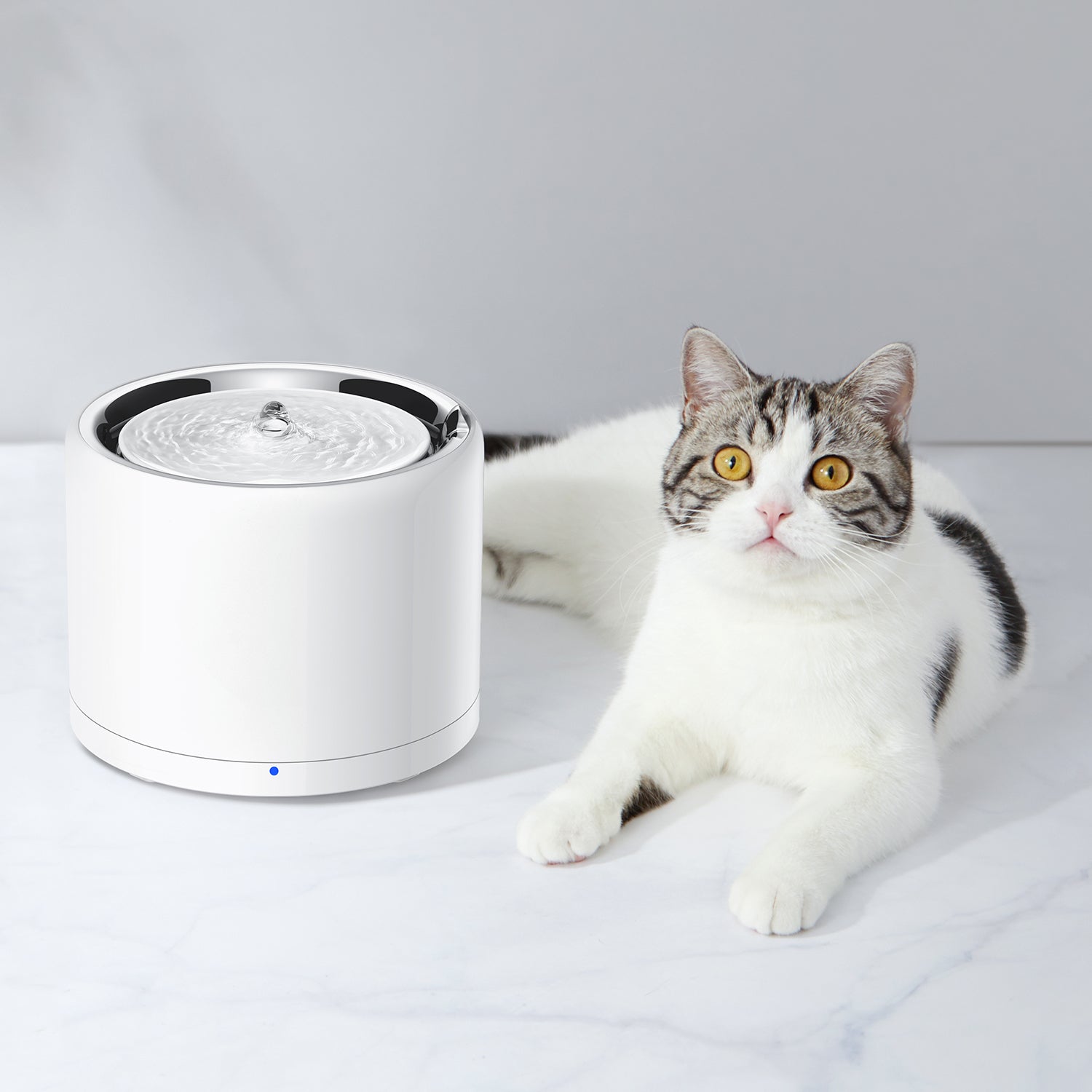 Cat sitting beside PETKIT EverSweet 3 Pro (UVC) pet water fountain, expressing comfort around the fountain