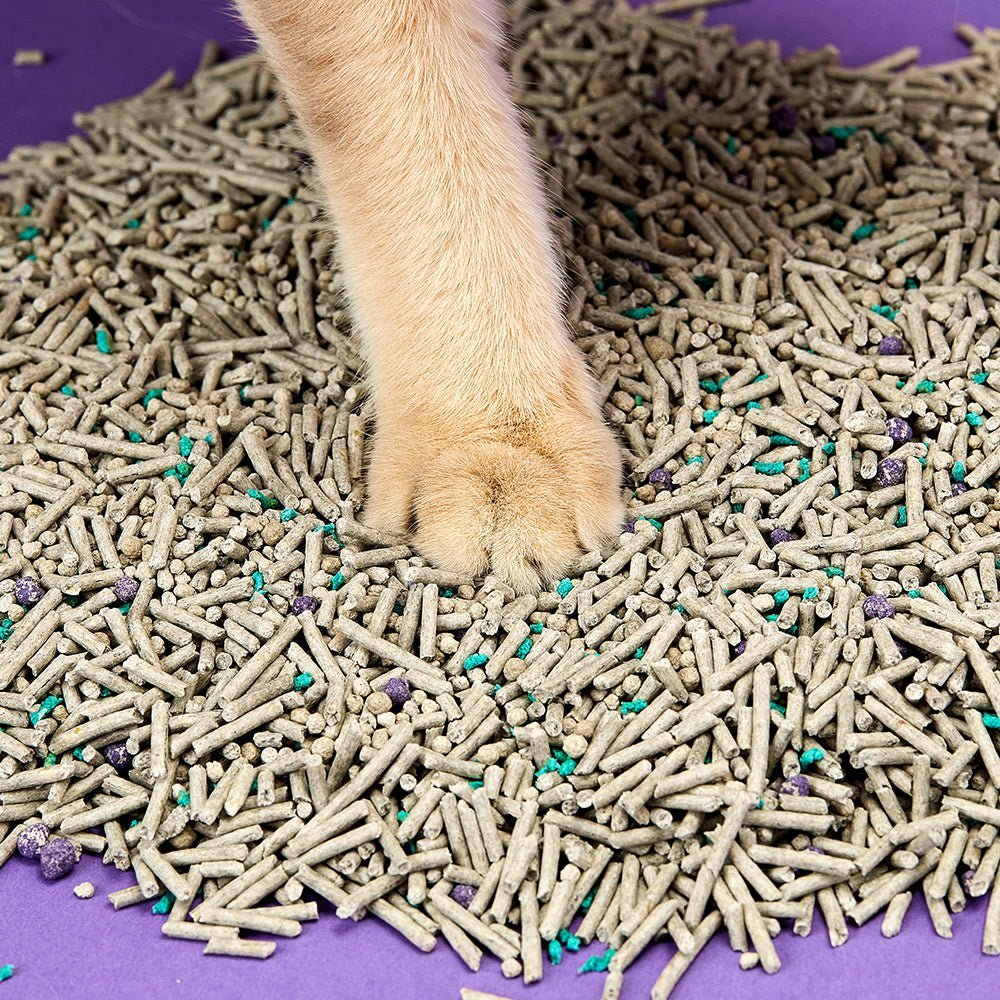 odorless 5-in-1 mixed tofu Cat Litter