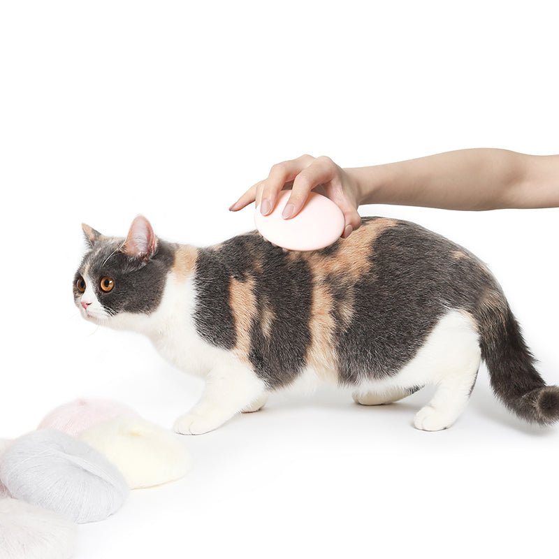 Pet Massage Comb gently massages and grooms a cat’s coat, helping remove loose fur while soothing the skin