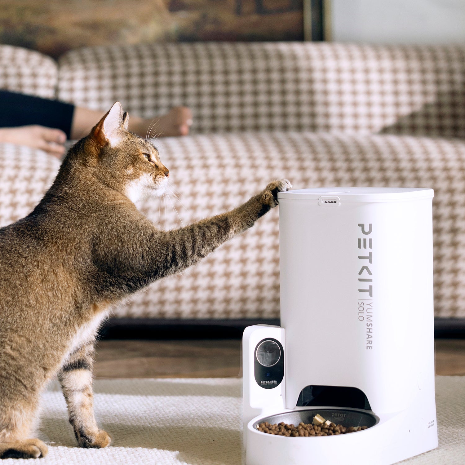 A cat beside the PETKIT YumShare Solo with camera automatic cat feeder in a cozy home setting, showing trust and curiosity toward the smart feeding companion
