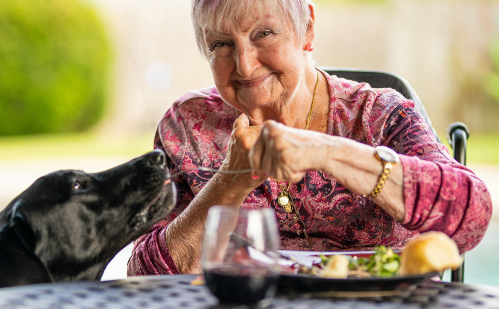 Love Doesn’t Age Celebrate National Senior Pet Awareness Month