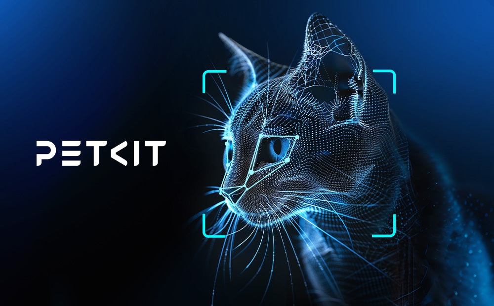 AI Cat Facial Recognition: Peace of Mind for Multi-Cat Parents