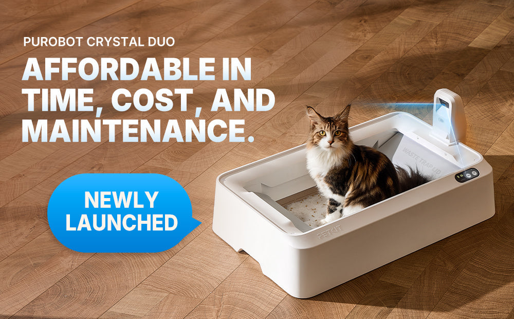 Meet PETKIT's Purobot Crystal Duo, the World’s First Open-Top Litter Box That Spots Cat Health Risks Before You Do