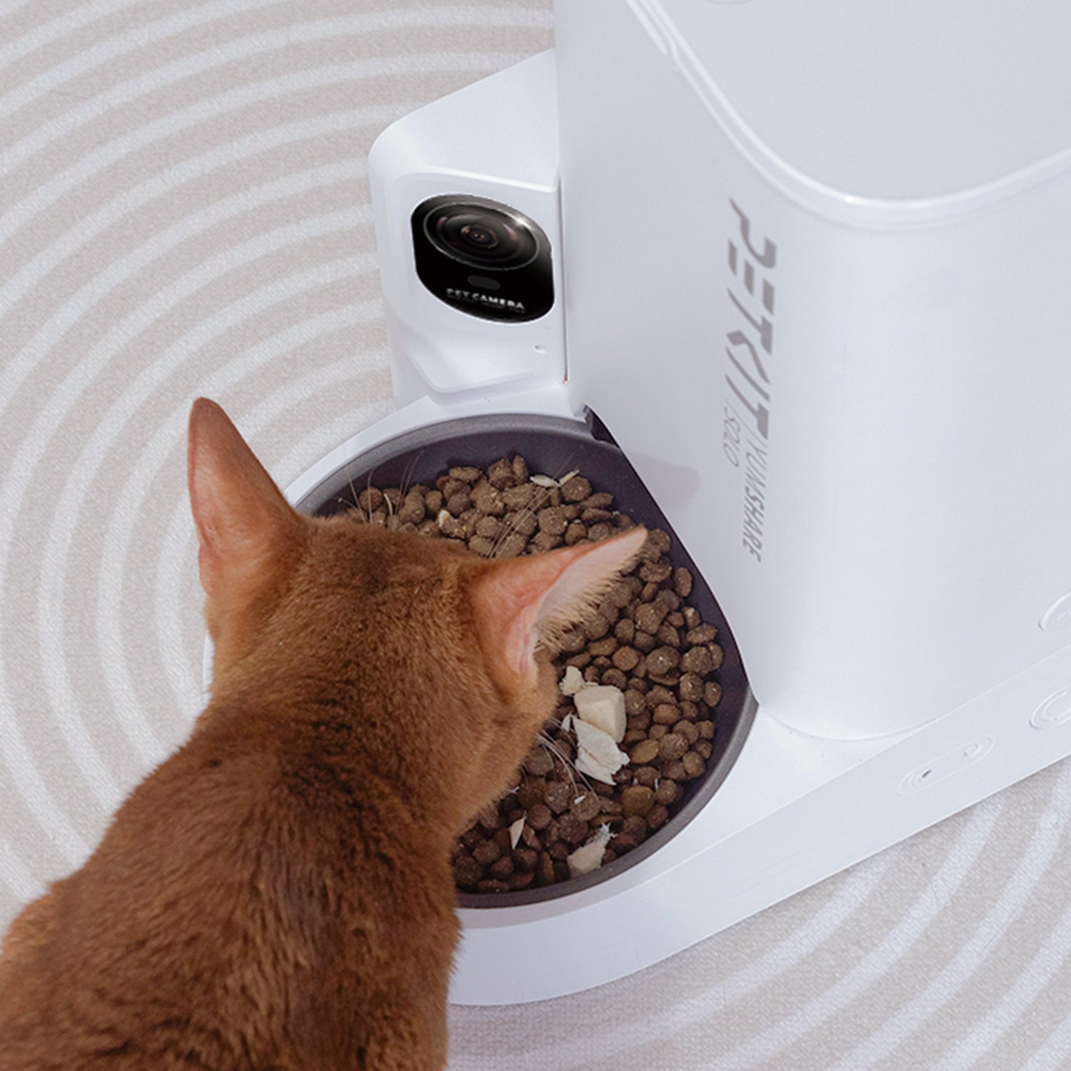 YumShare Solo Camera Pet Feeder, Automatic Cat Food Dispenser, Smart ...