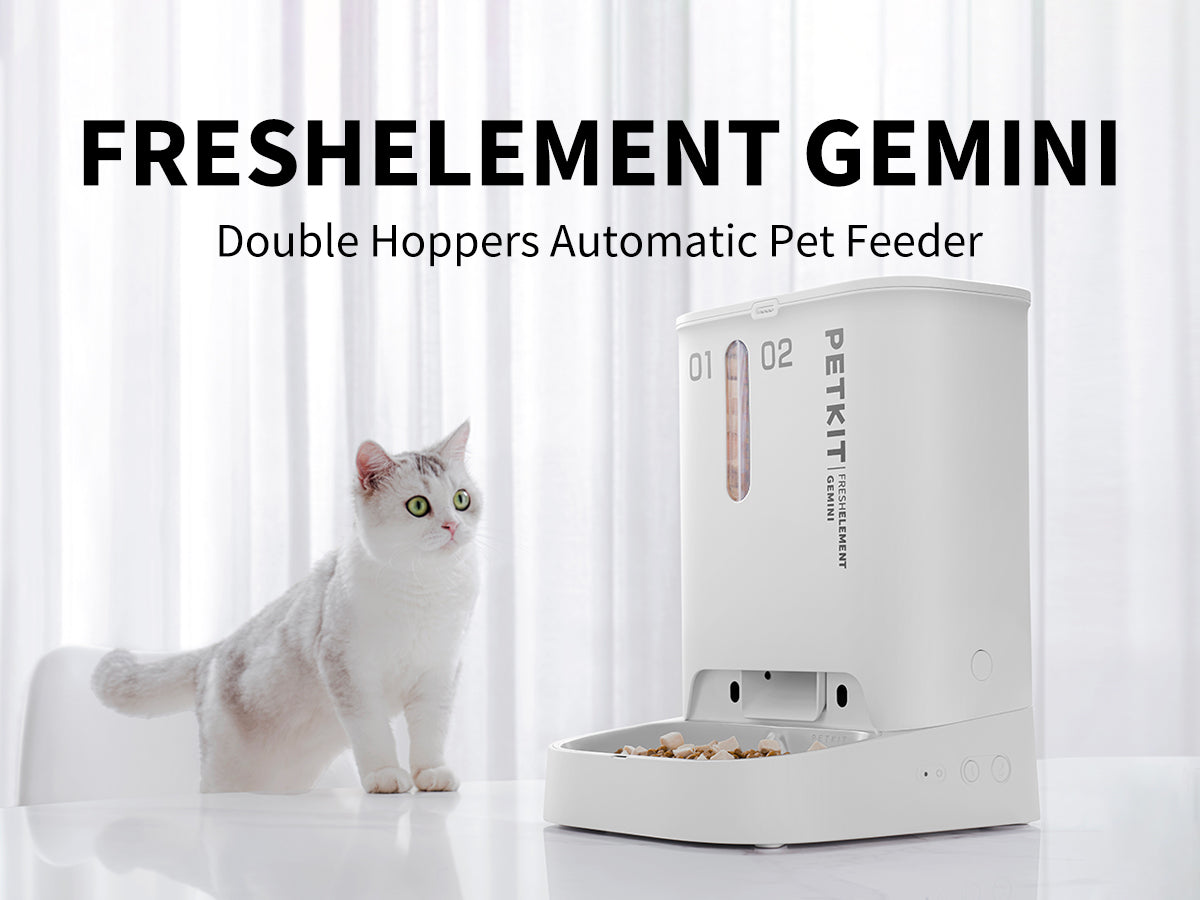 Gempet automatic 2024 pet feeder manual