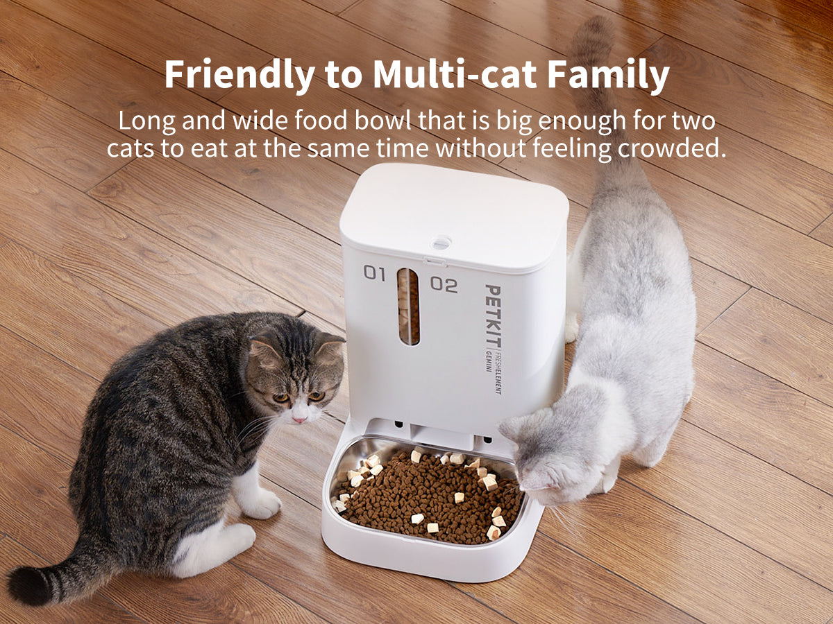 Multi cat cheap auto feeder