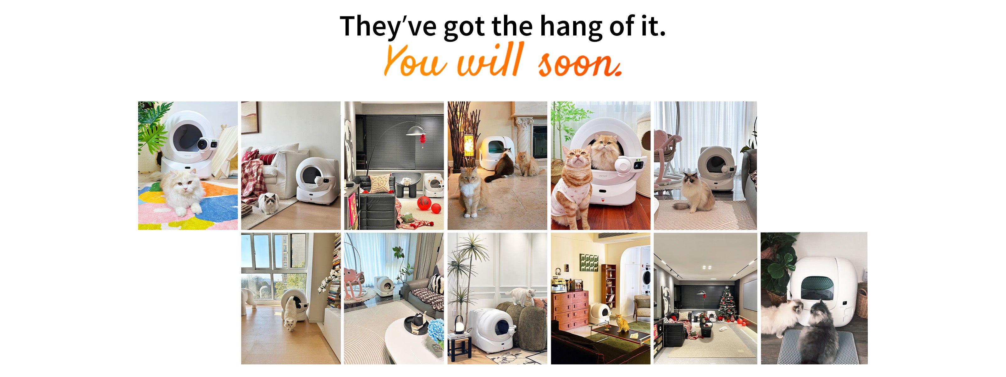 A collage showcasing cats from various households using the PETKIT Cat Litter Box, accompanied by promotional text positioned above.