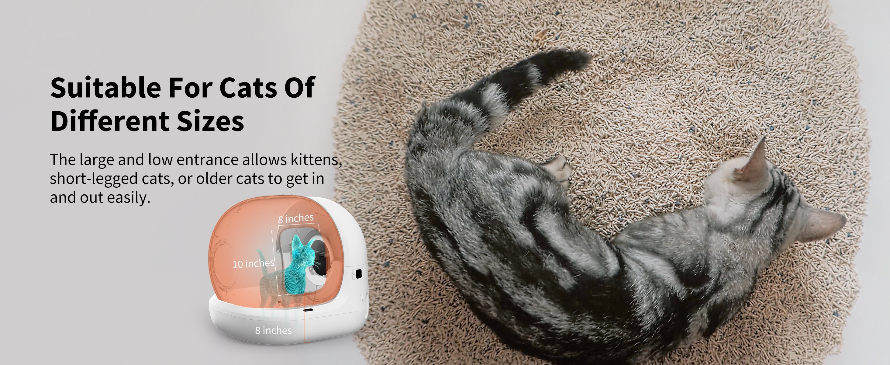 PETKIT Pura Max Automatic Self Cleaning Cat Litter Box Smart Cat Litte –  savvypetz