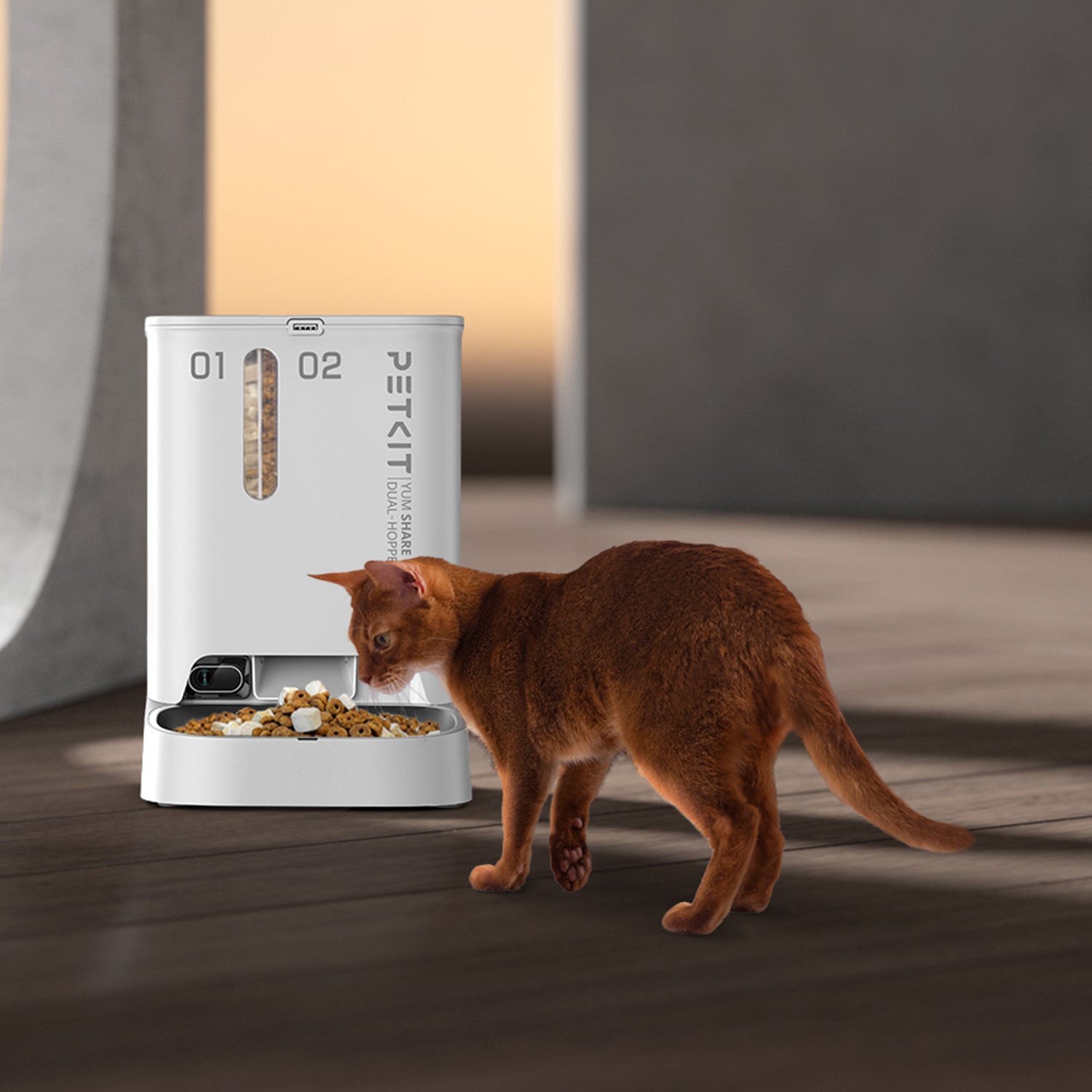 YumShare Dual-hopper Automatic Feeder with cat