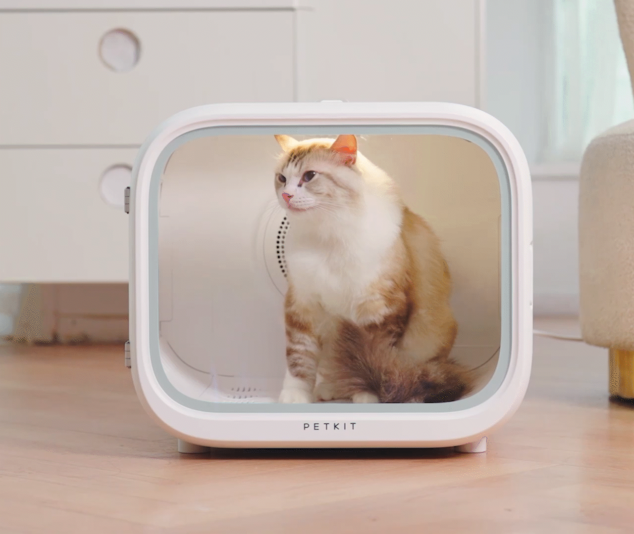 360-degree temperature-controlled airflow in the AirSalon Max Pet Dryer Box ensures thorough and efficient drying from bottom to top