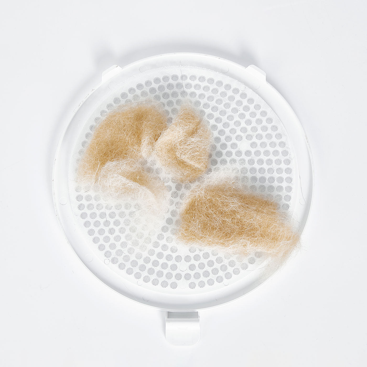 AirSalon Max Pro Pet Dryer Box showing removal of hair filter mesh for easy cleaning and maintenance