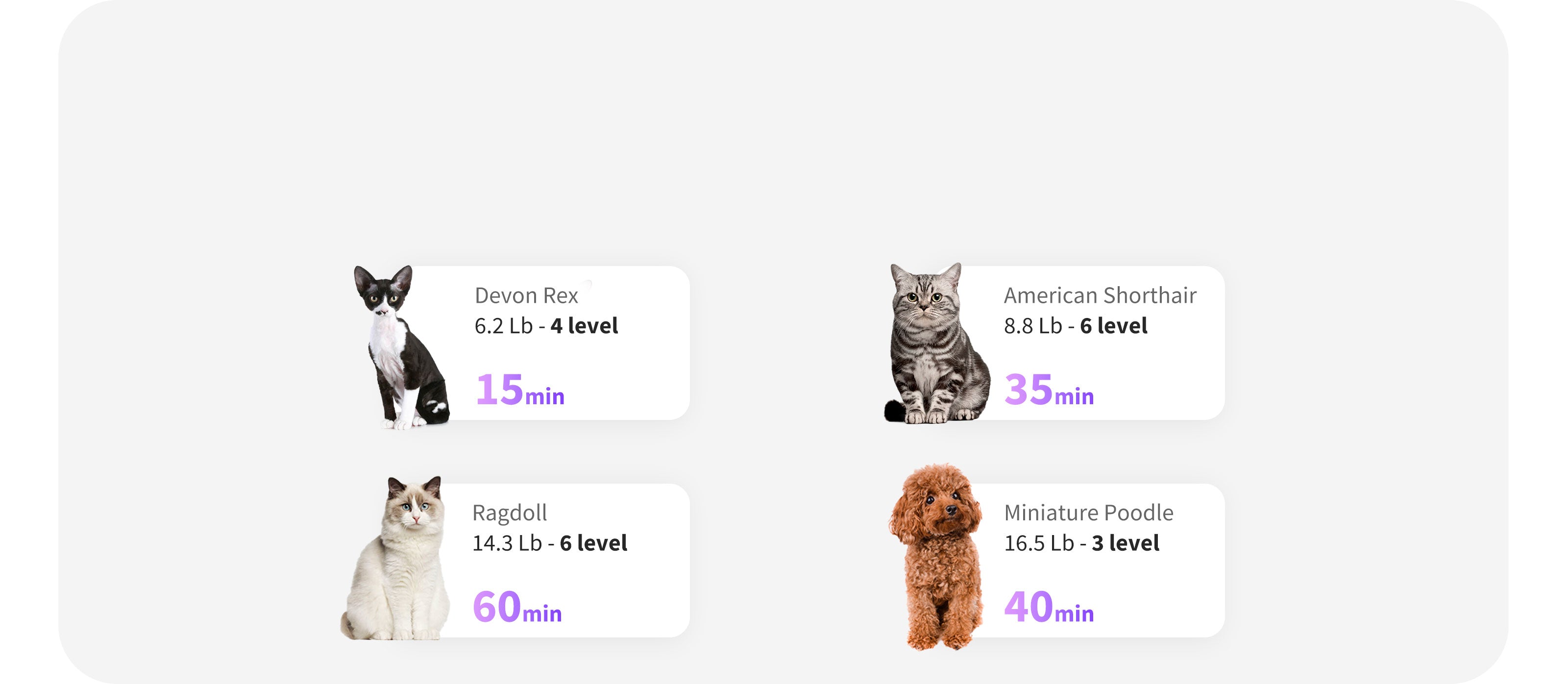 AirSalon Max Pro Pet Dryer Box quick reference guide showing drying time variances for different pets and modes