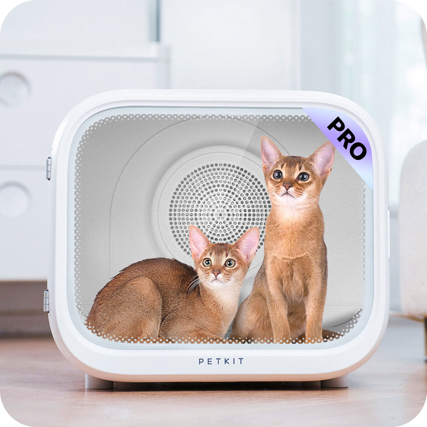 AirSalon Max Pro Pet Dryer Box multifunctional design accommodating multiple pets comfortably with optimal airflow