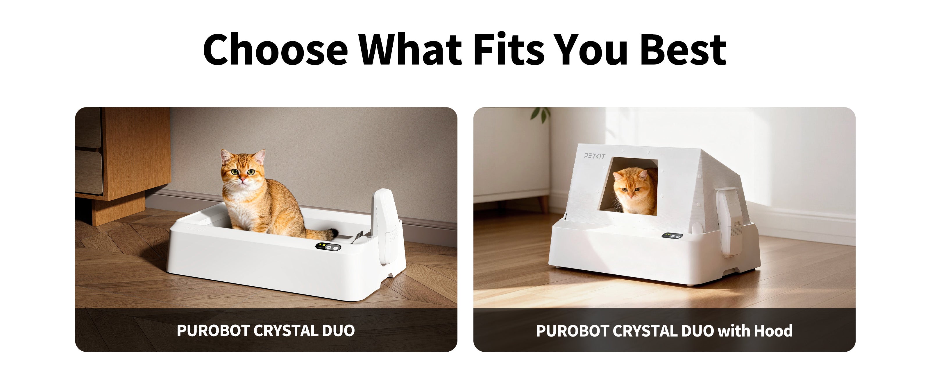 choose-what-fits-you-best-pc