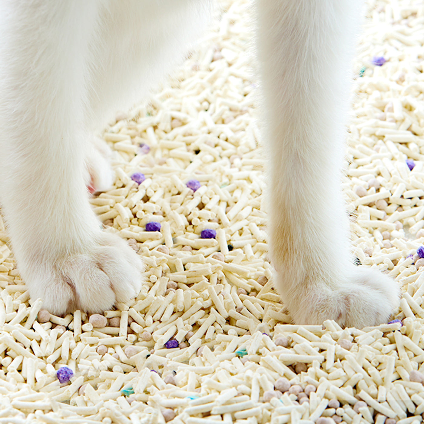 Clump+ Tofu Mixed Cat Litter with larger granules reducing litter sticking to paws and floor mess