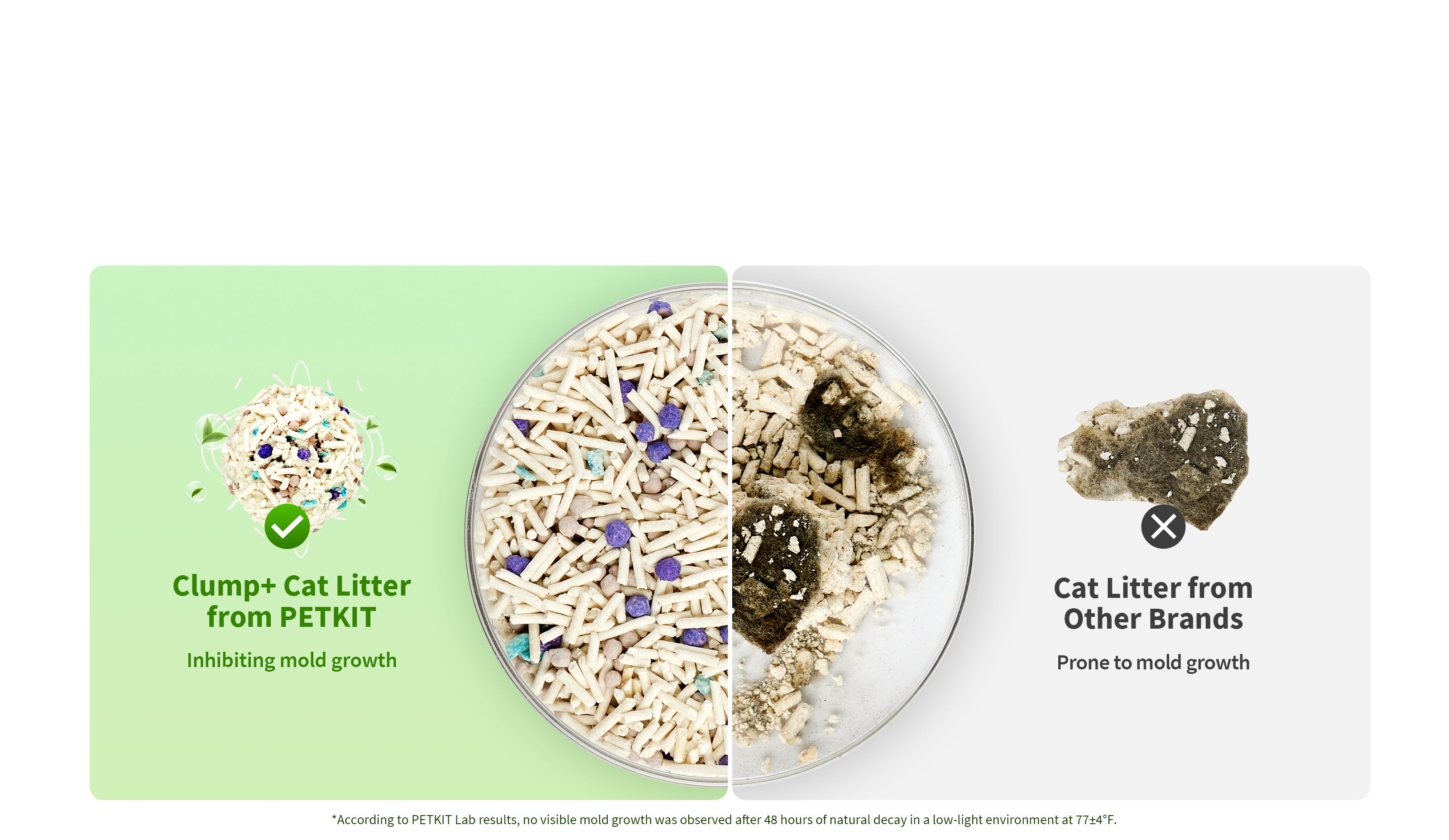 Clump+ Tofu Mixed Cat Litter with bentonite litter instantly absorbing liquid from urine and feces to minimize mold growth and keep litter box dry