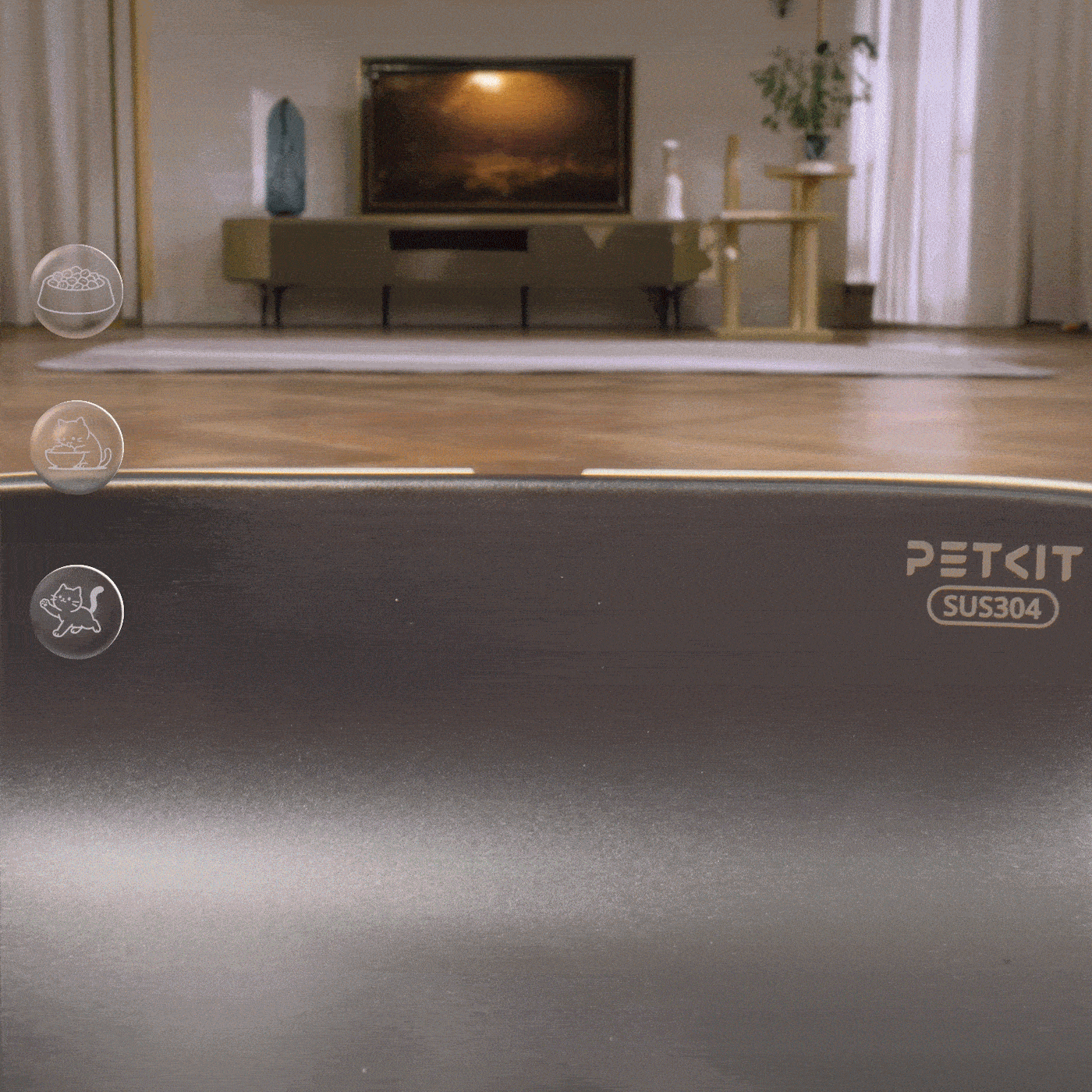 Replay logged videos to track your cat’s daily activity, with classified and organized logs for easy review of key moments.