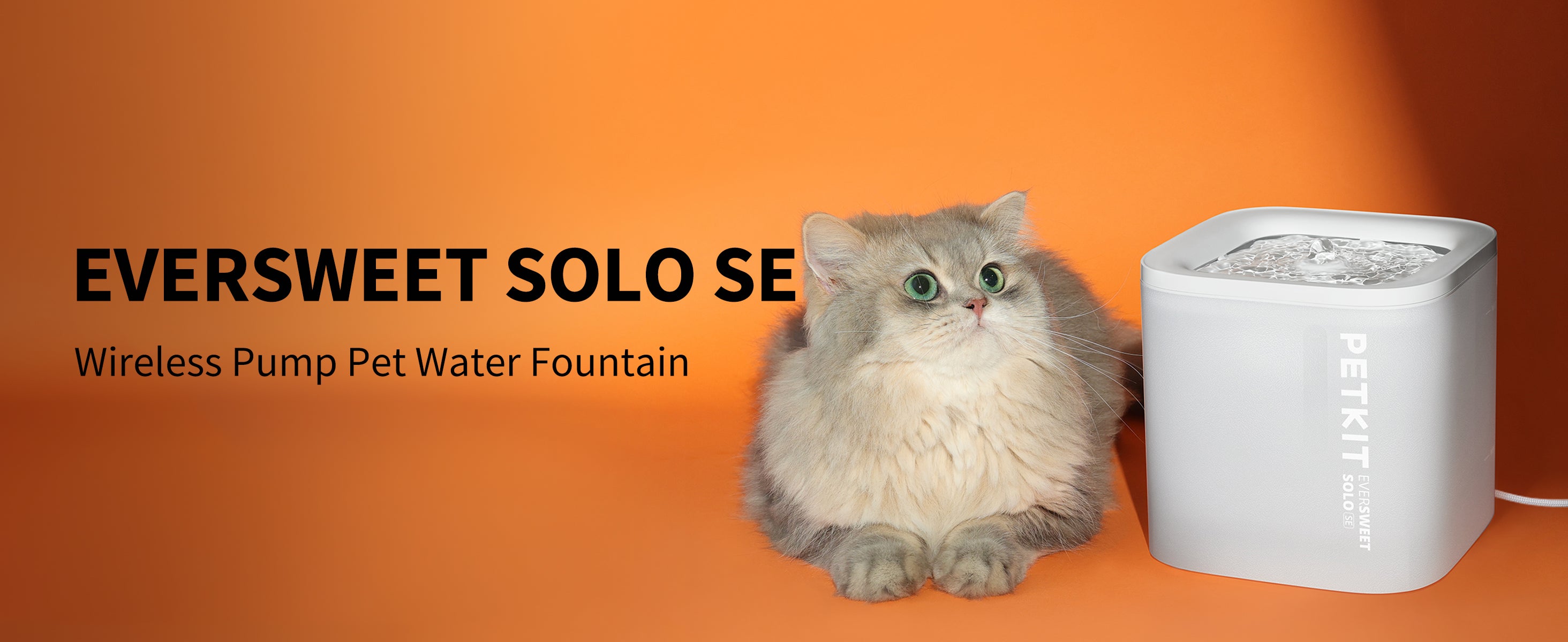 EverSweet Solo SE Pet Water Fountain with wireless pump designed for simple and reliable daily hydration
