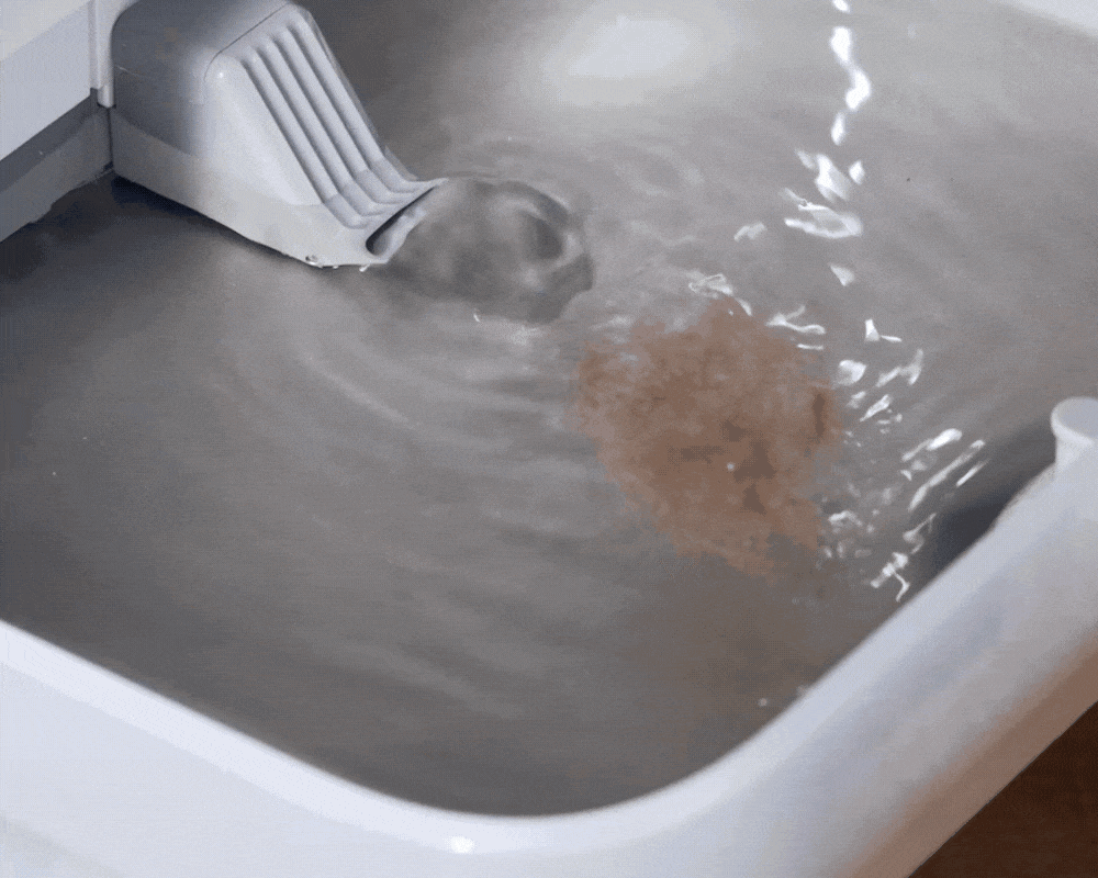 EverSweet Ultra Cat Water Fountain performing automated flush to clean tray and refill water