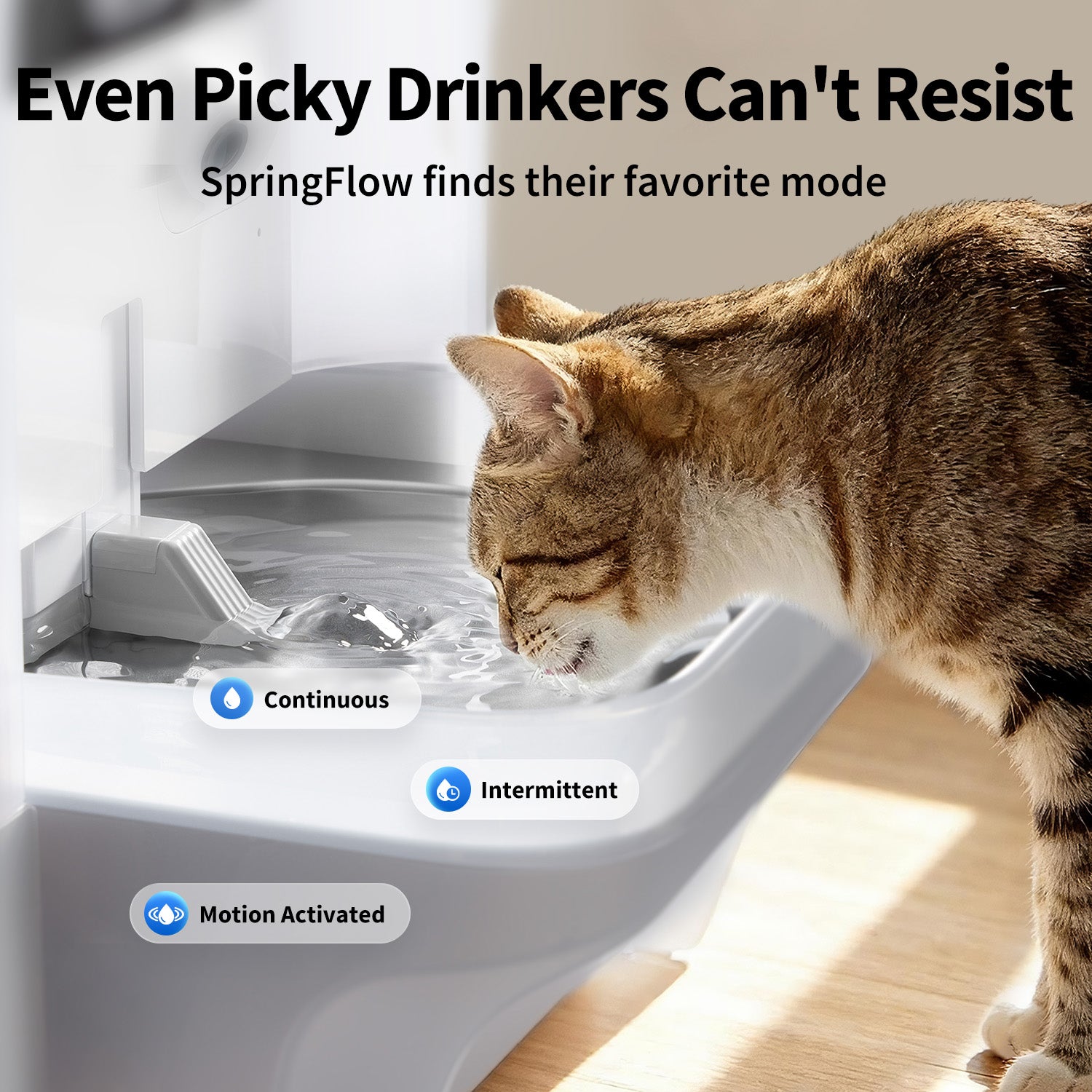 EverSweet Ultra Cat Water Fountain demonstrating SpringFlow technology with continuous, intermittent, and motion-activated water modes