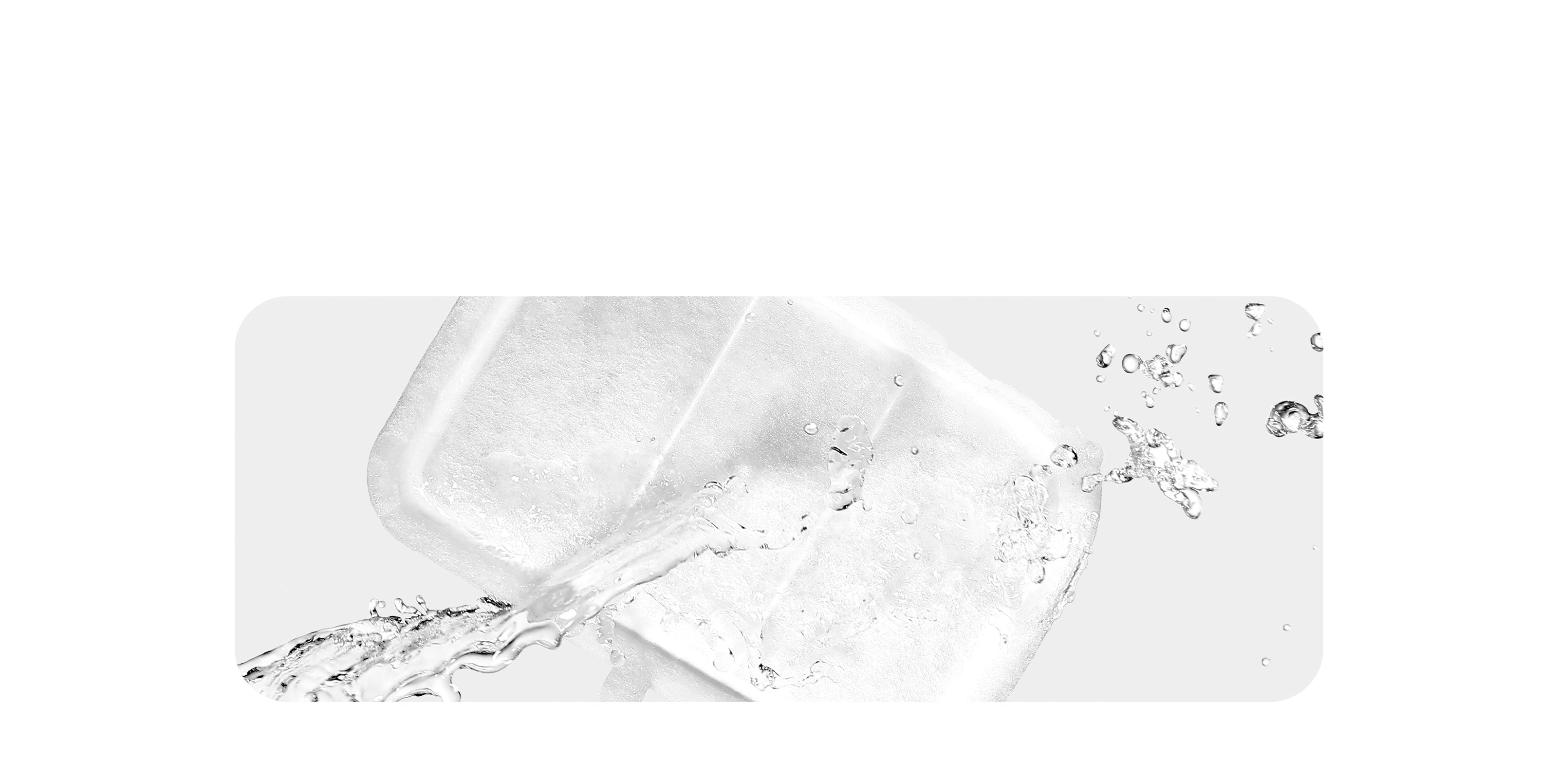 Filter Unit RECT filter with water element highlighting purification and referencing recommended replacement for pet health