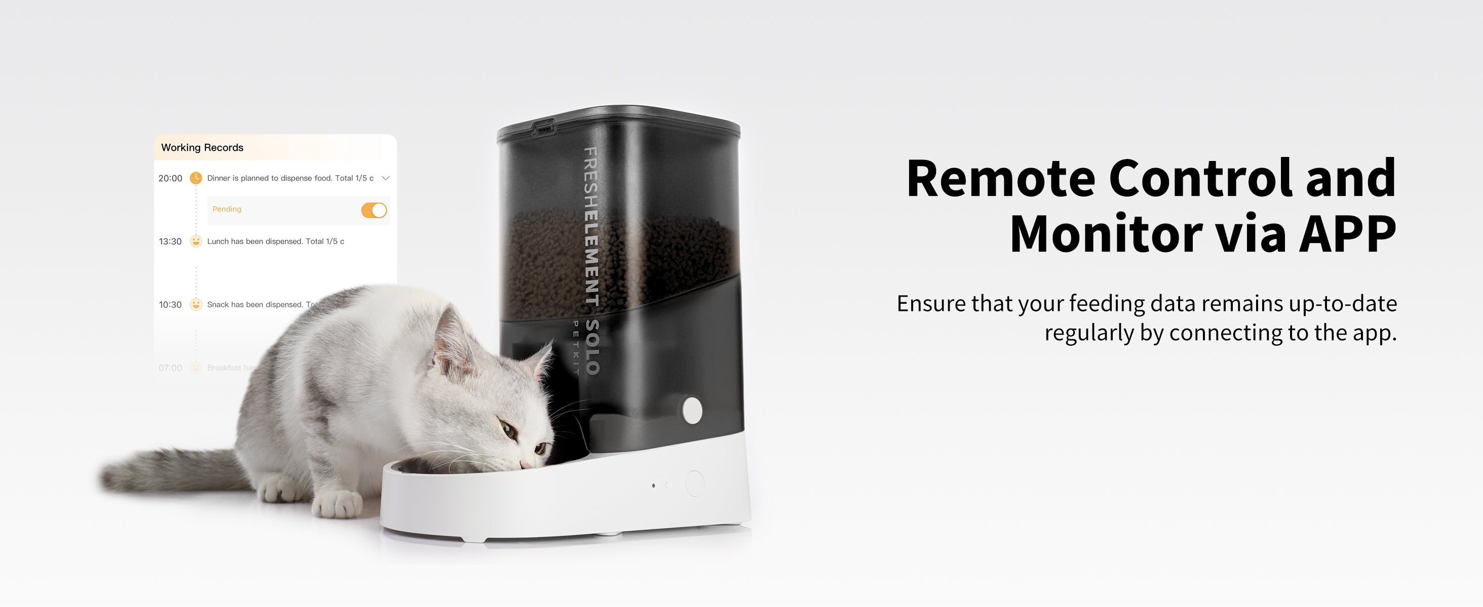 Fresh Element Solo Automatic Cat Feeder with App Control