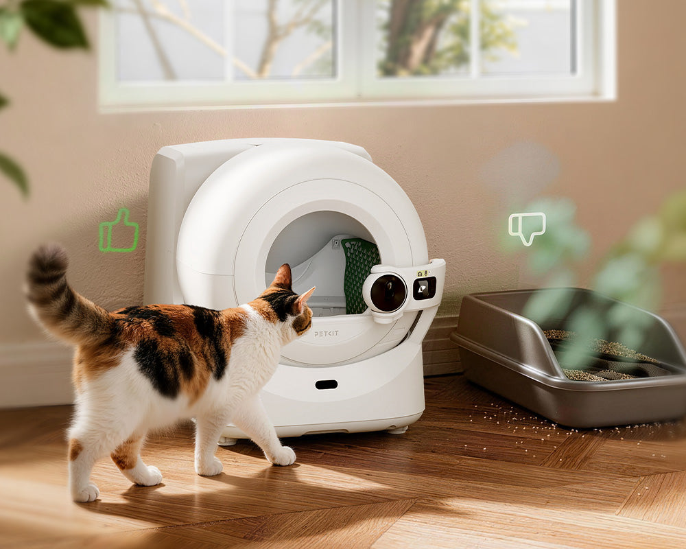 Gradually reduce the use of the old litter box once your cat is consistently using the new Purobot Ultra Automatic Litter Box giving her time to adjust at her own pace
