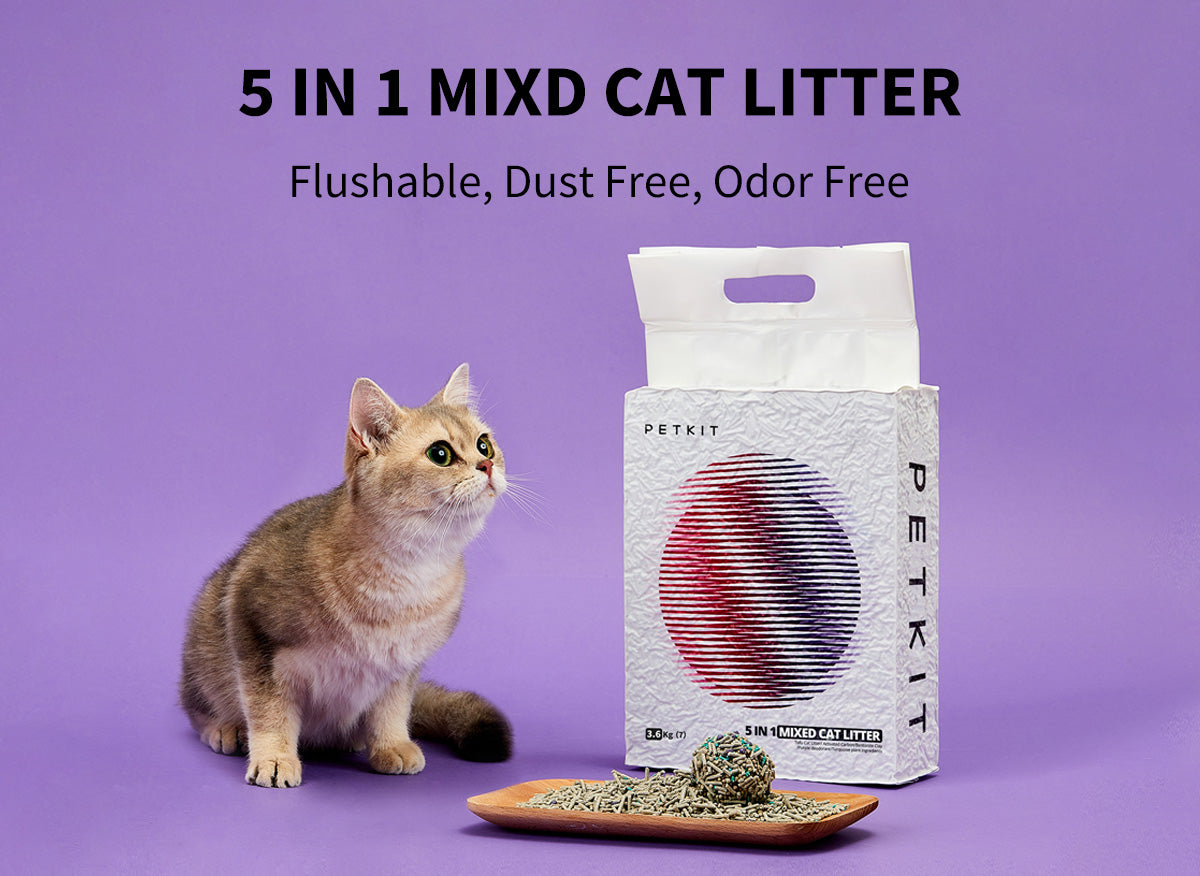 Flushable kitty litter outlet brands