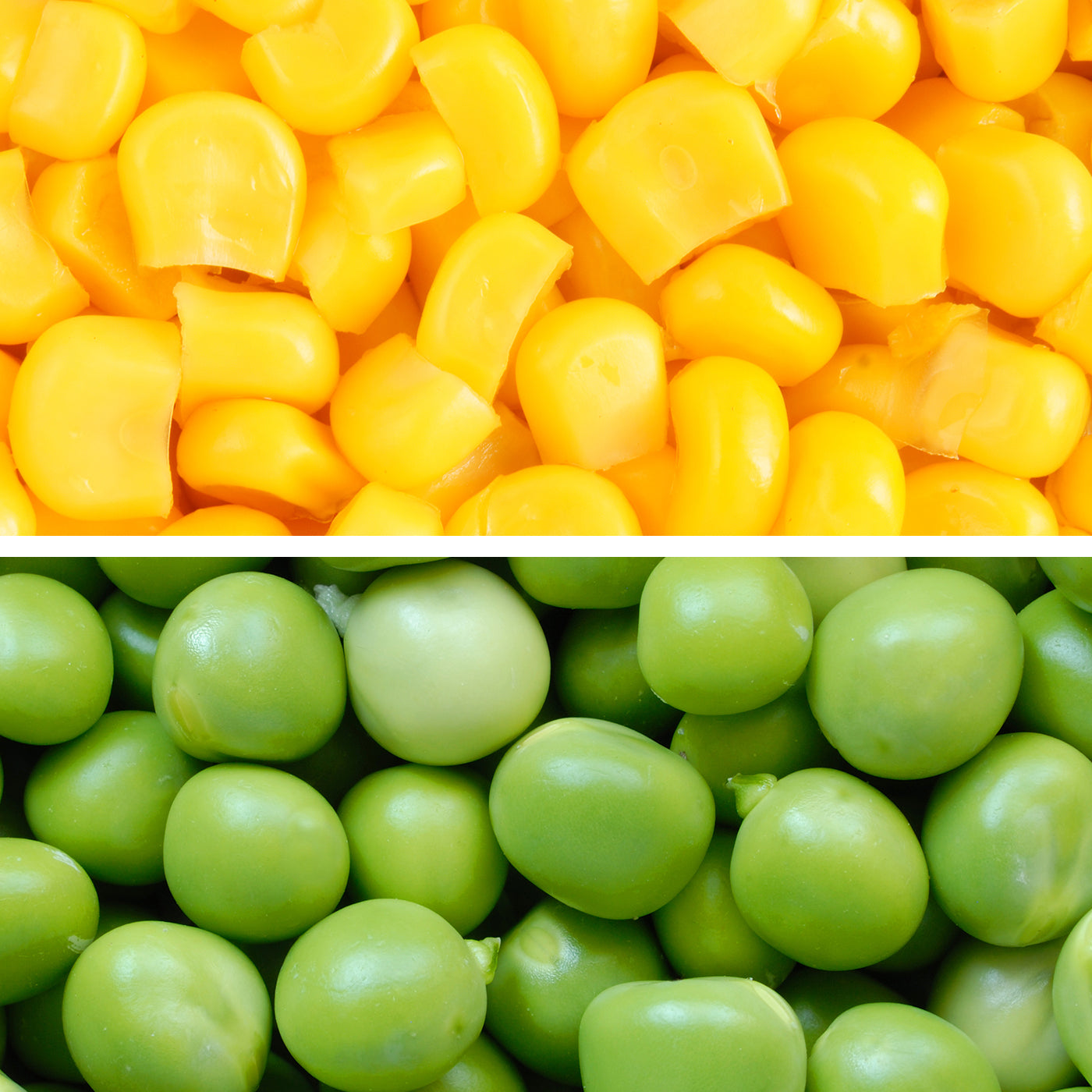 Occult Blood Test Mixed Cat Litter made from pea residue and corn starch, free of formaldehyde and safe