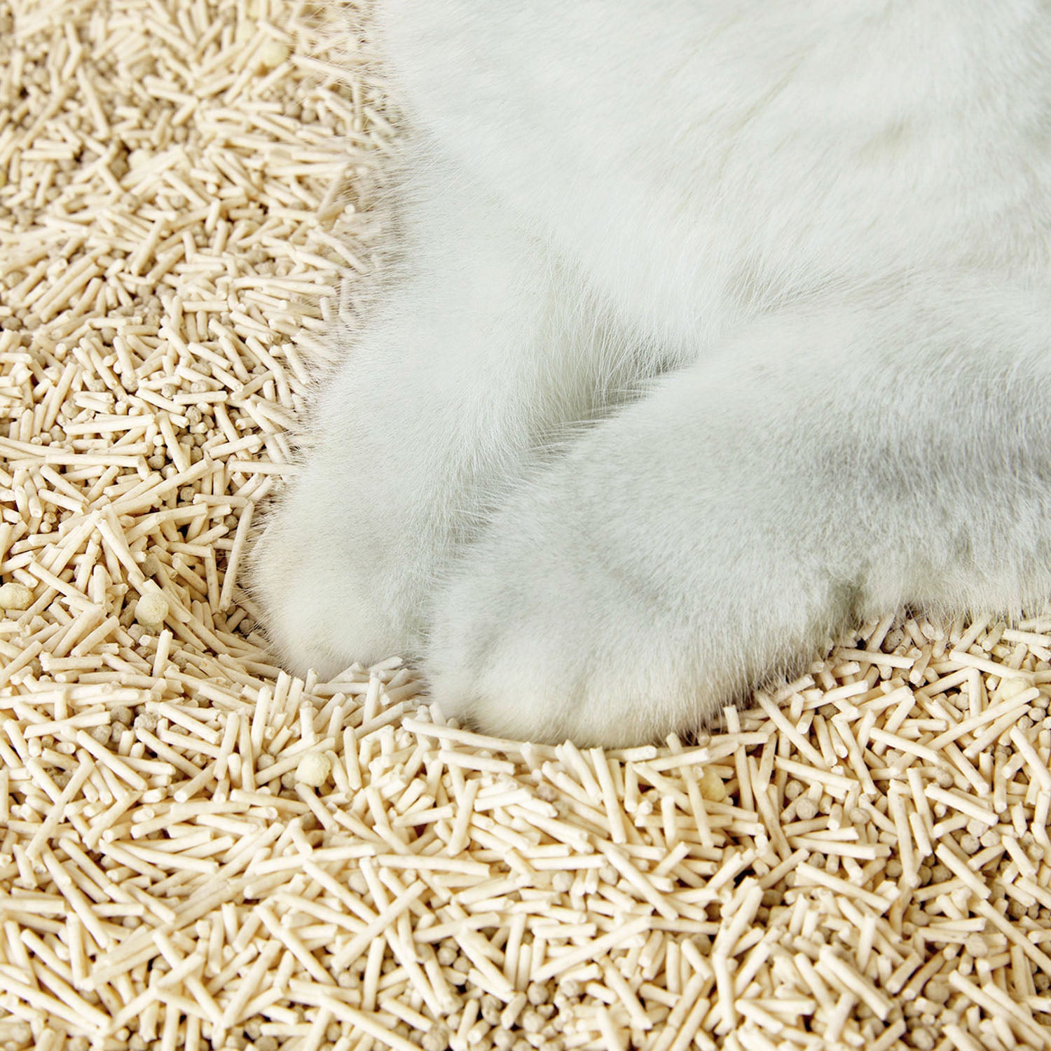 Occult Blood Test Mixed Cat Litter minimizes tracking on cats’ paws and floors with soft texture for delicate paws