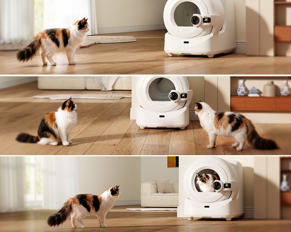 Be patient and allow your cat to adjust at her own pace when transitioning to the Purobot Ultra Automatic Cat Litter Box taking the time to help her feel comfortable