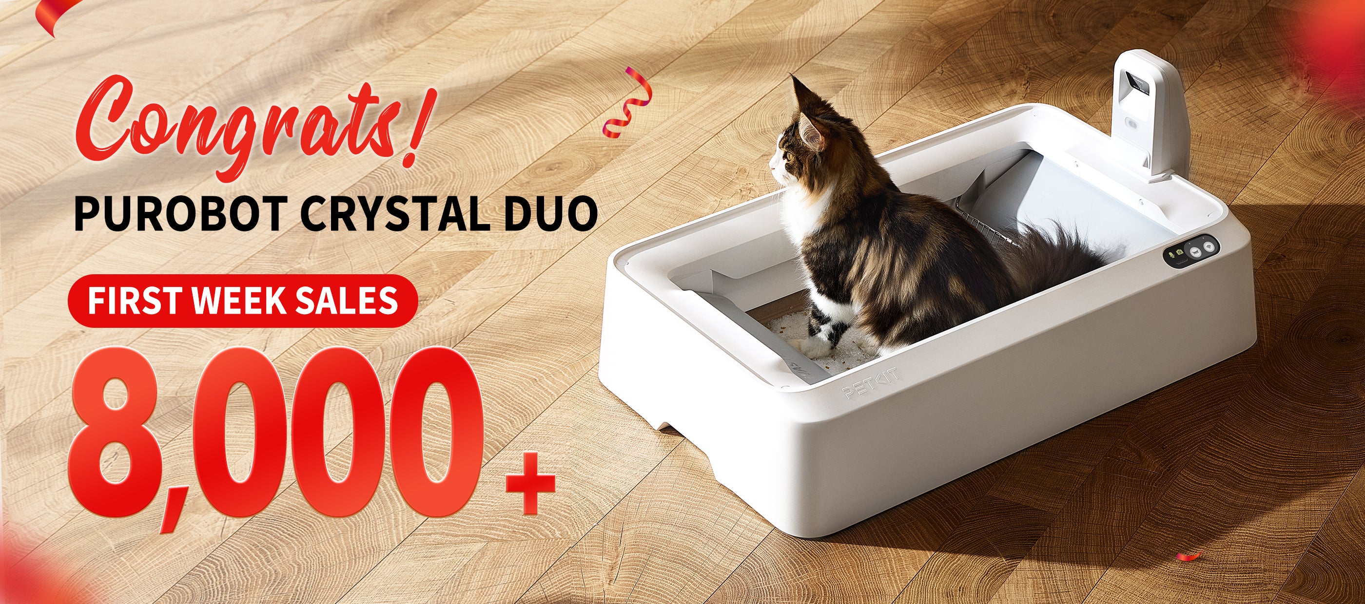 美品 PETKIT 自動フードとマウンテンウォーター zhutu4.jpg
