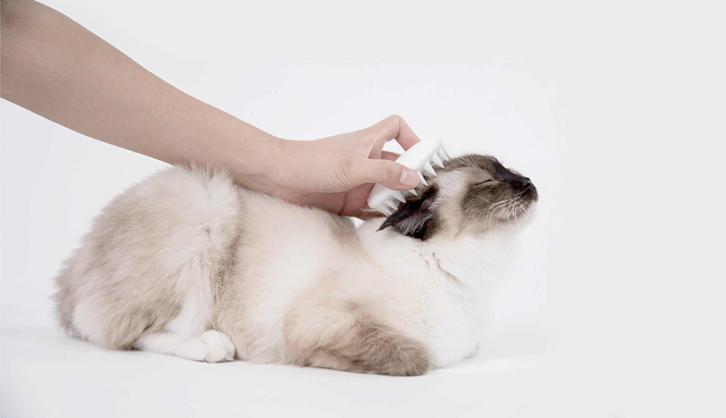 Pet Massage Comb delivers a gentle silicone massage that helps relax pets while grooming their coat