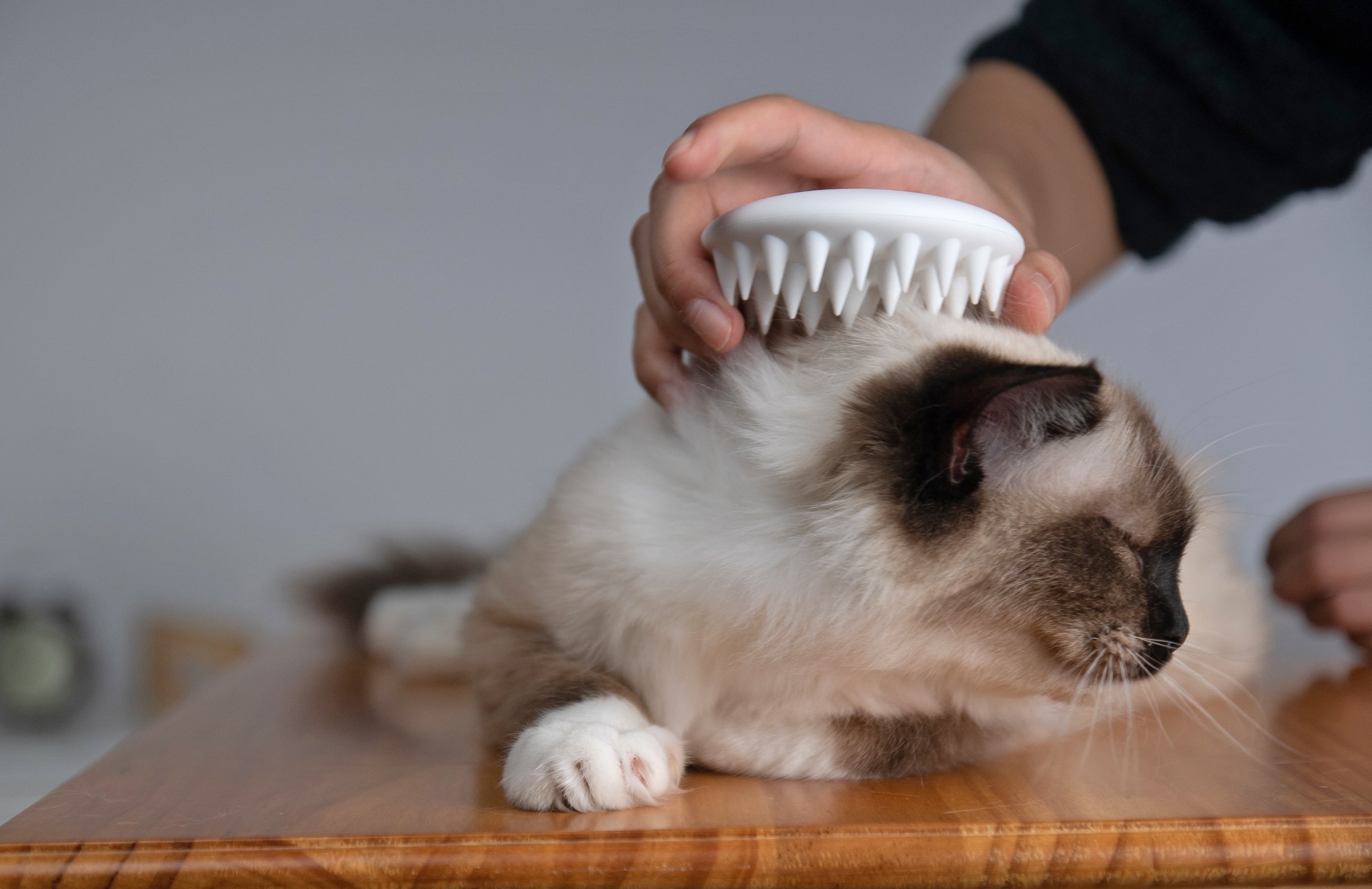 Pet Massage Comb supports daily grooming and massage, helping pets feel calm, comfortable, and cared for