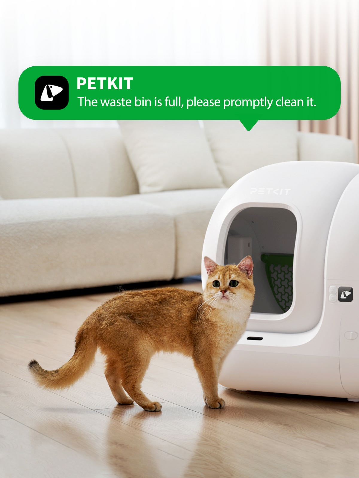 PuraMax 2 Automatic Cat Litter Box controlled through the PETKIT app with one-tap access to smart settings, including cleaning styles and deodorization modes
