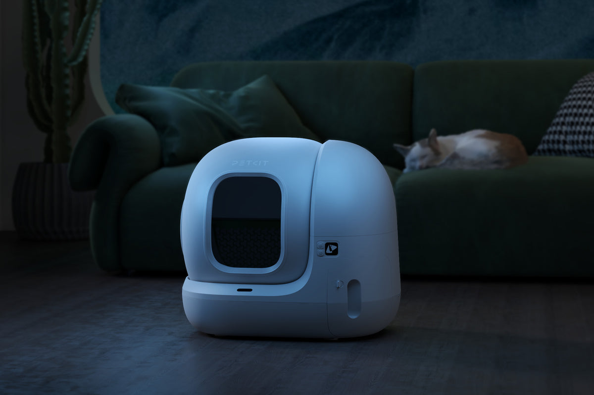 The Best Automatic Litter Boxes 2025: 8 Must-Have Features and Top Pic